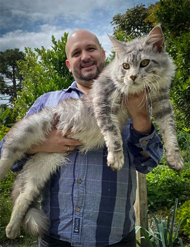 Criadero de gatos Maine Coon - Soon Coon - Raza de gatos Gigante